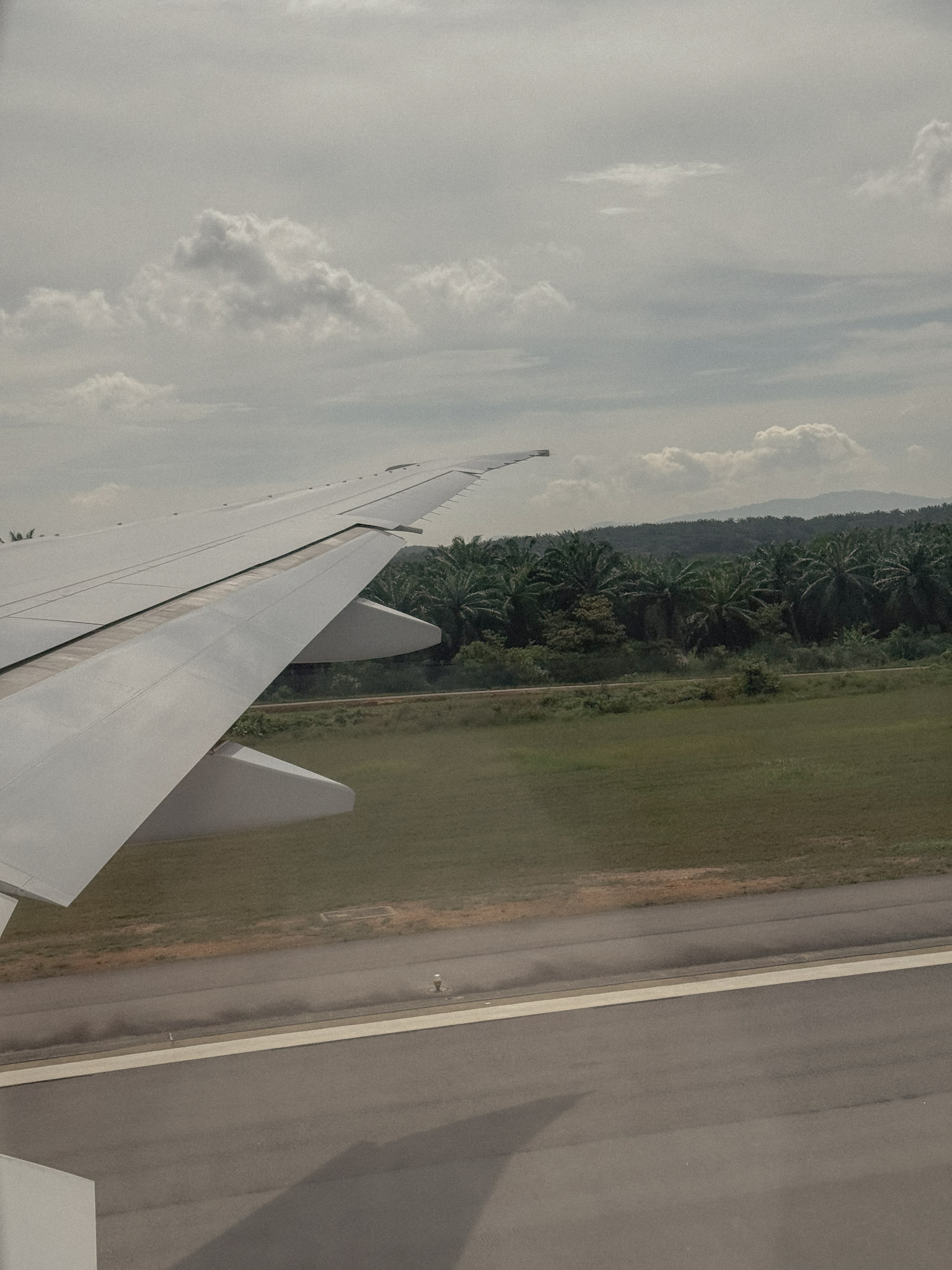 Airplane wing seen from a window during landing, with runway, green fields, palm trees, distant hills, and a cloudy sky.